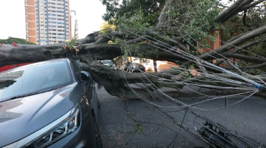 Cinco dias após ciclone, 30 mil clientes estão sem energia em SP