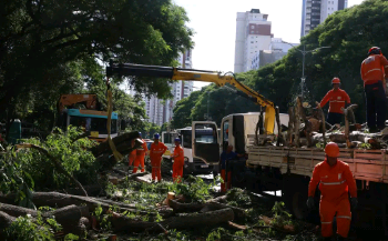 Dois dias após ciclone, SP ainda tem 800 mil moradores sem energia