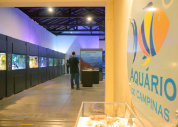 Veja opções de lazer e cultura em Campinas neste final de semana