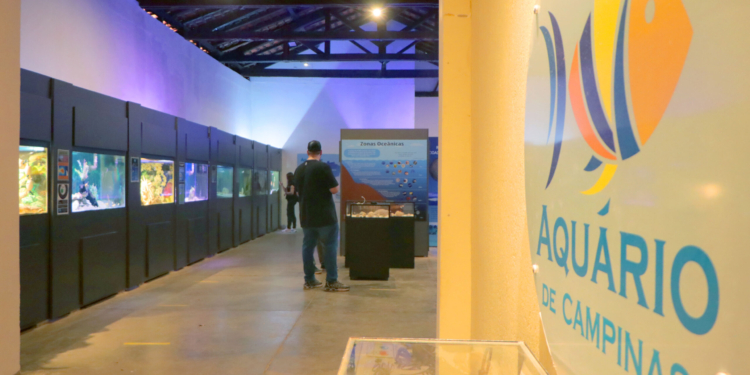 Veja opções de lazer e cultura em Campinas neste final de semana