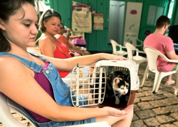 Atendimento veterinário gratuito é prorrogado na Vila Lemos e na Vila Boa Vista