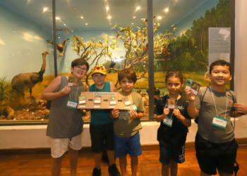 Ecoférias 2026 oferece atividades ambientais gratuitas para crianças no Bosque dos Jequitibás