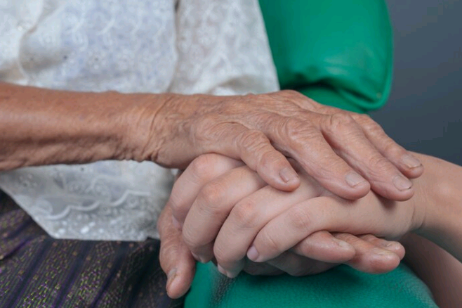 Artigo – Doação x investimento social: o próximo passo para fortalecer o terceiro setor e gerar valor para a economia – por Lúcia Decot Sdoia