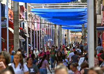 Procon Campinas orienta consumidores sobre liquidações do início de ano