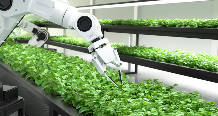 Artigo: A evolução da inteligência artificial no agro e indústria brasileira – por Elizeu dos Santos