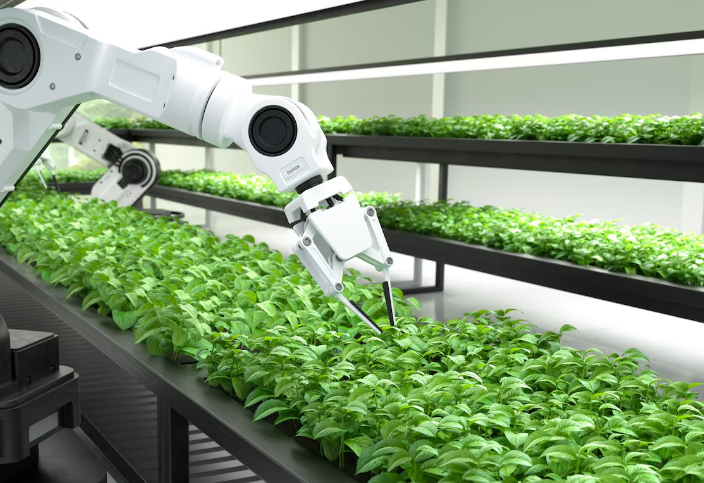 Artigo: A evolução da inteligência artificial no agro e indústria brasileira – por Elizeu dos Santos