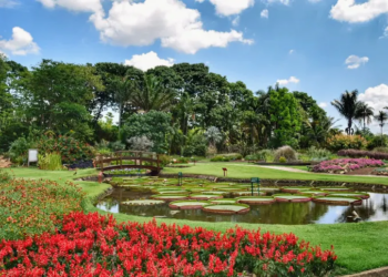 Jardim Botânico Plantarum