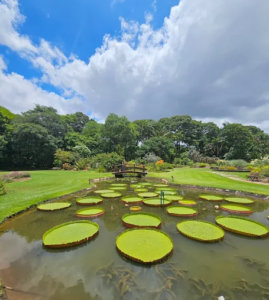 Jardim Botânico Plantarum
