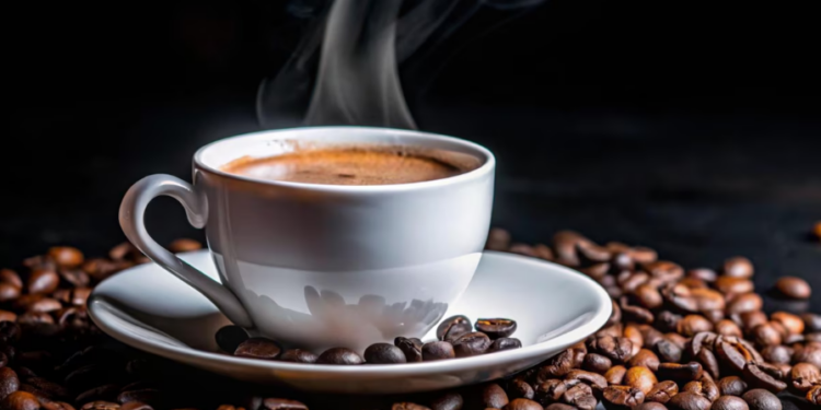 Artigo: Passaporte para o mercado da União Europeia para produtos em tempos de Brasil Core – por Clara Toledo Corrêa