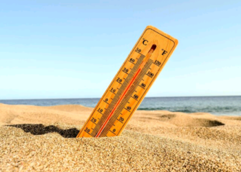 Artigo – Queimadura e insolação: atenção redobrada com ambientes quentes e dias nublados  – por Priscilla Pereira