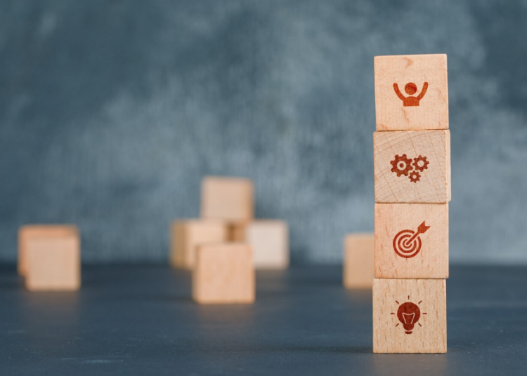 O conhecimento que não te ensinam, mas que a vida cobra todos os dias – por Cecília Lima