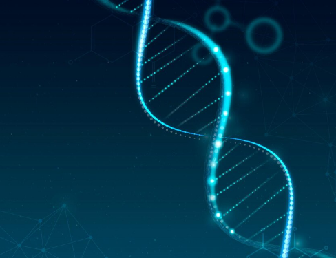 Artigo: O que o DNA revela sobre a ancestralidade judaica no Brasil – por Ricardo di Lazzaro