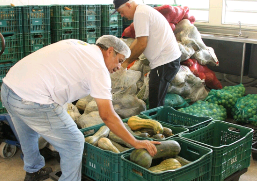 Agricultores familiares podem se inscrever no programa Banco de Alimentos de Hortolândia até esta sexta