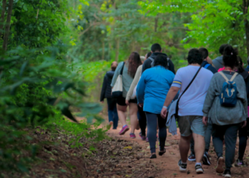 Mata de Santa Genebra oferece visitas monitoradas com guias credenciados