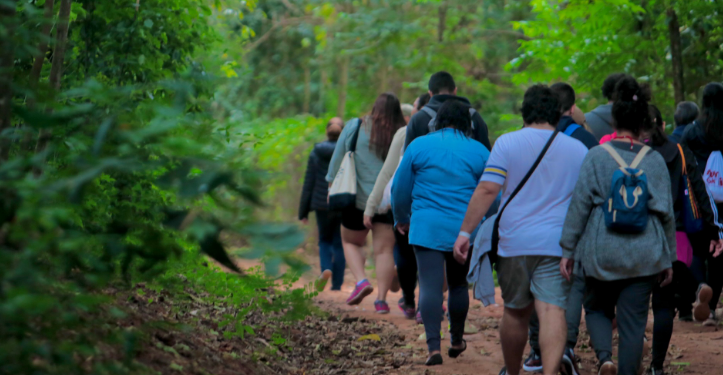 Mata de Santa Genebra oferece visitas monitoradas com guias credenciados