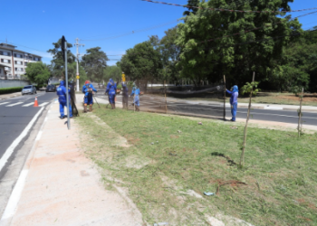 Prefeitura de Campinas realiza mutirão de limpeza em quatro bairros nesta quinta e na sexta-feira