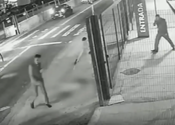 Cachorro é morto com dez tiros em frente a ponto de ônibus de São Paulo