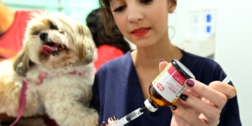 Consultório Veterinário Móvel inicia atendimento na Região Noroeste nesta quinta