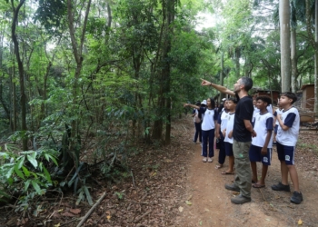 Fundação abre inscrição para visitas monitoradas na Mata de Santa Genebra