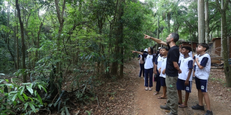 Fundação abre inscrição para visitas monitoradas na Mata de Santa Genebra