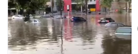 Chuva rápida acompanhada de granizo alaga vias e derruba árvores em Campinas