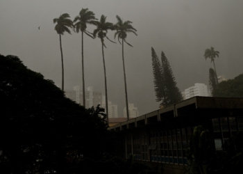 Campinas abre semana com previsão de muita chuva; domingo teve alagamento e queda de árvores