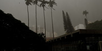 Campinas abre semana com previsão de muita chuva; domingo teve alagamento e queda de árvores