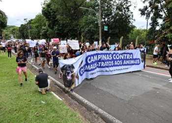 Campinas entra na mobilização nacional pela morte brutal do cão Orelha; veja fotos e vídeos
