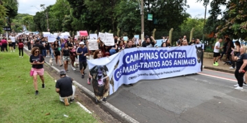 Campinas entra na mobilização nacional pela morte brutal do cão Orelha; veja fotos e vídeos