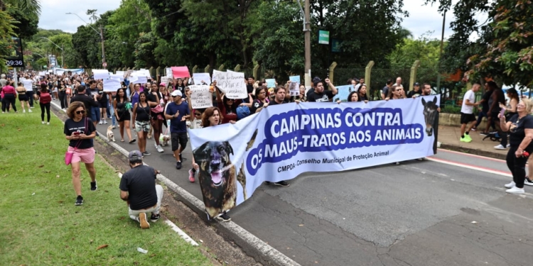 Campinas entra na mobilização nacional pela morte brutal do cão Orelha; veja fotos e vídeos