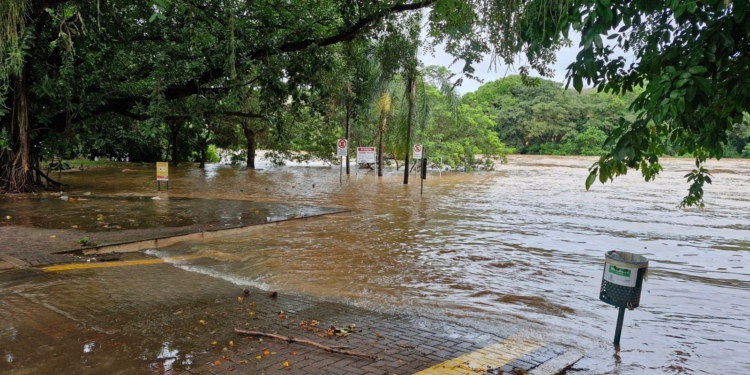 Rio Piracicaba transborda e atinge nível crítico após fortes chuvas