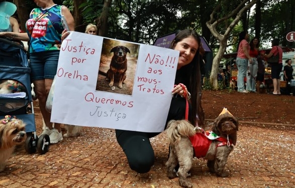 Bloco do Bob pede justiça pelo cão Orelha; Nem Sangue Nem Areia agita Vila Industrial