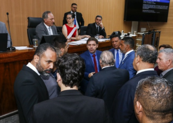 Vereadores de Campinas aprovam em 2º turno projeto que endurece punições para maus-tratos a animais