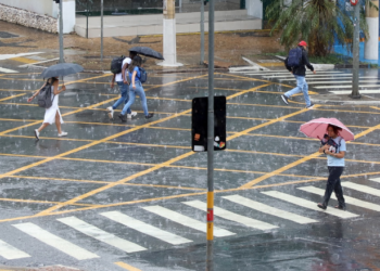 Defesa Civil de Campinas registra queda de árvores e alagamento durante a chuva de segunda