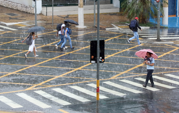 Defesa Civil de Campinas registra queda de árvores e alagamento durante a chuva de segunda