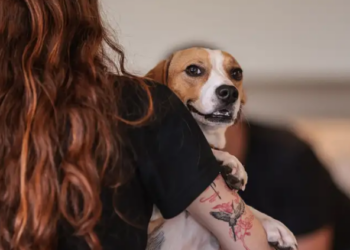 Saiba como educar crianças e adolescentes para respeitar os animais