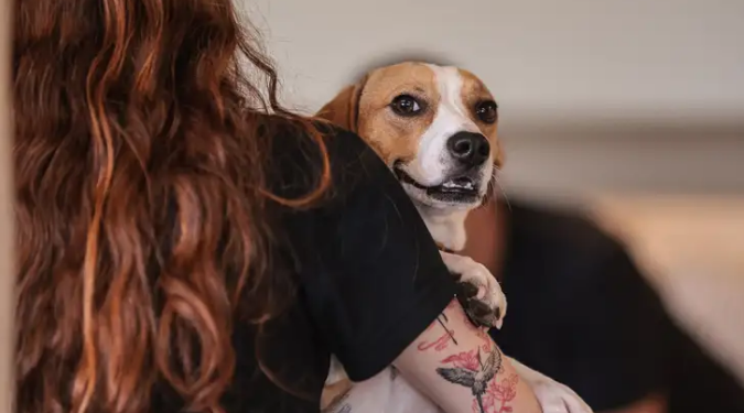 Saiba como educar crianças e adolescentes para respeitar os animais