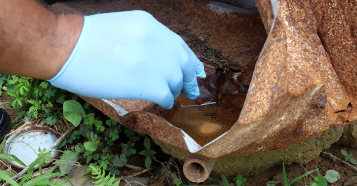 Campinas tem 33 bairros com alto risco de transmissão da dengue; veja quais