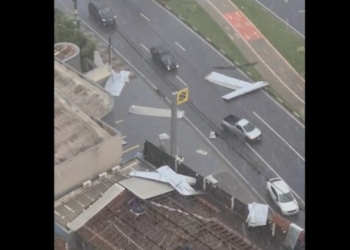 Chuva rápida provoca queda de árvores e destelhamento em Campinas