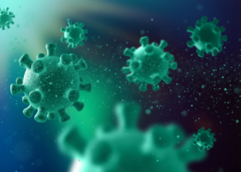 Nipah, gripe K, aviária: as doenças no radar de infectologistas em 2026