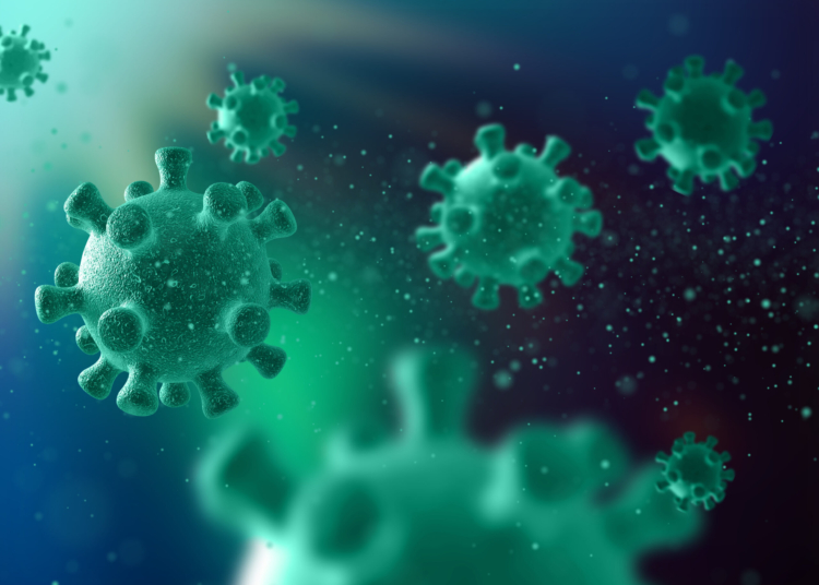 Nipah, gripe K, aviária: as doenças no radar de infectologistas em 2026