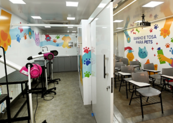 Campinas recebe cursos profissionalizantes gratuitos em 11 bairros; veja como se inscrever