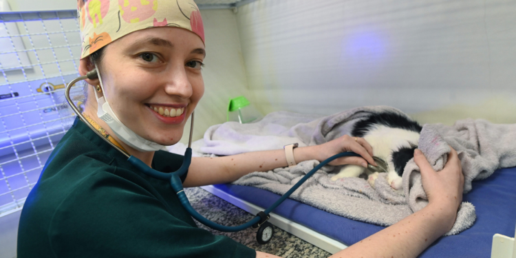 Hospital Veterinário da PUC começa nesta terça a atender animais resgatados pelo Samu Animal