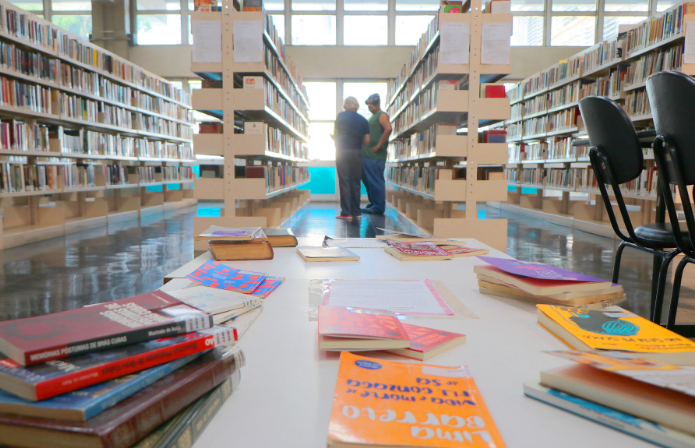 Projeto ‘Bibliodiversa Zink’ atualiza acervo infantil com foco em autoria feminina, negra e indígena
