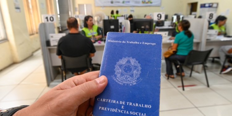 CPAT Campinas promove seleção para 100 vagas de auxiliar de logística em multinacional