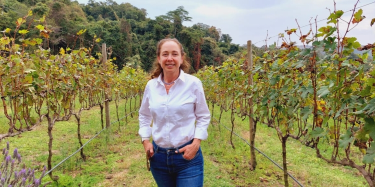 Câmara Setorial da Viticultura de SP promove o 1º Festival do Vinho Paulista