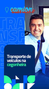 Custo Transporte Cegonha