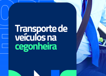 Custo Transporte Cegonha