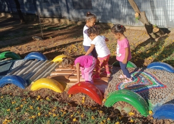 Quase metade das escolas de Campinas tem hortas e jardins sensoriais