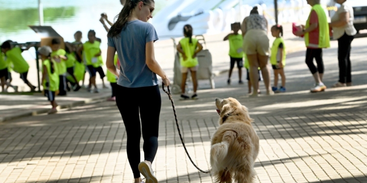 Pets começam a frequentar parques de Campinas ao lado de tutores após liberação